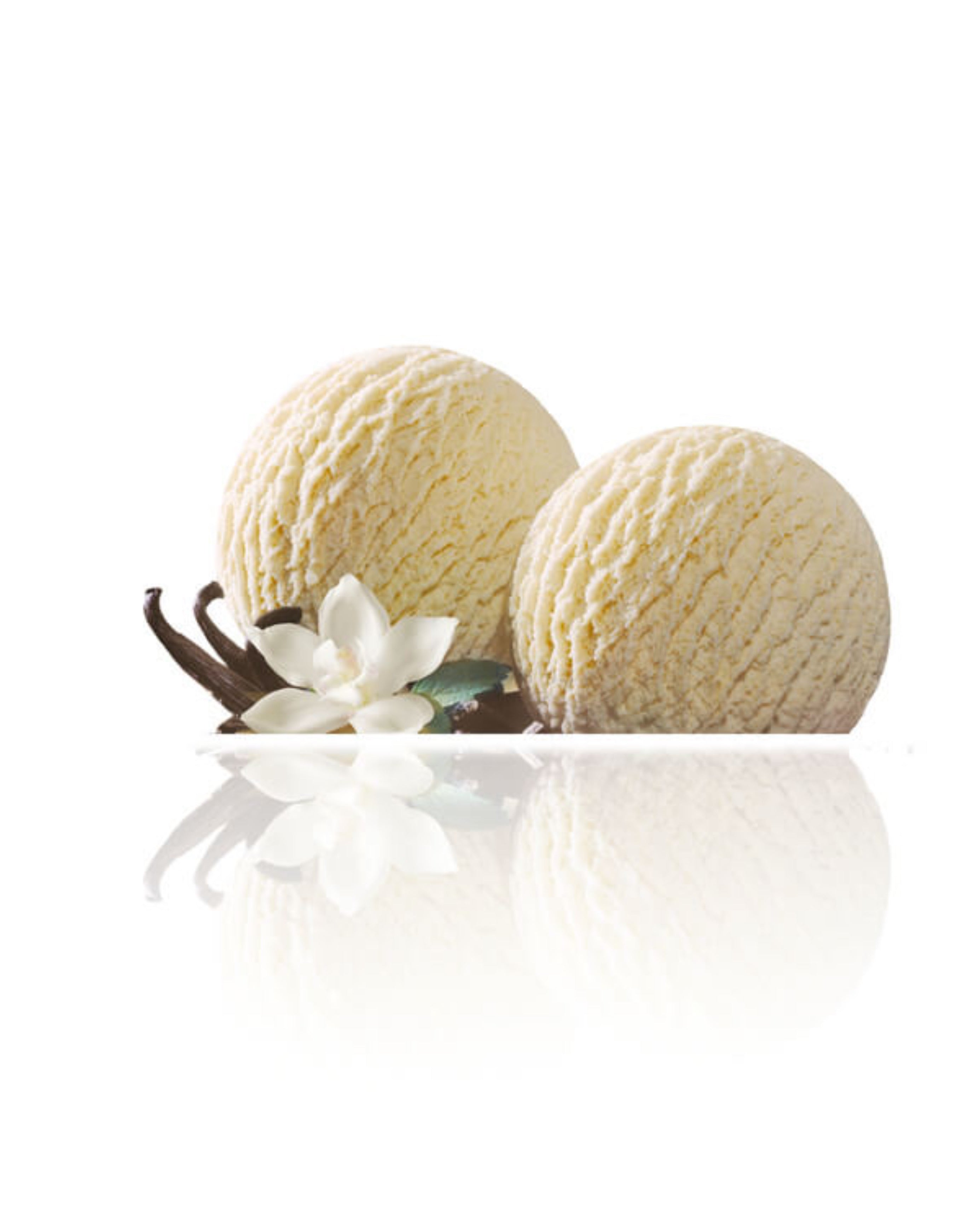 HELADO DE VAINILLA